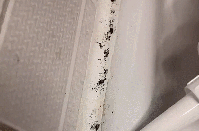19f9abef93ca3e4a6996d08977b830f7.gif