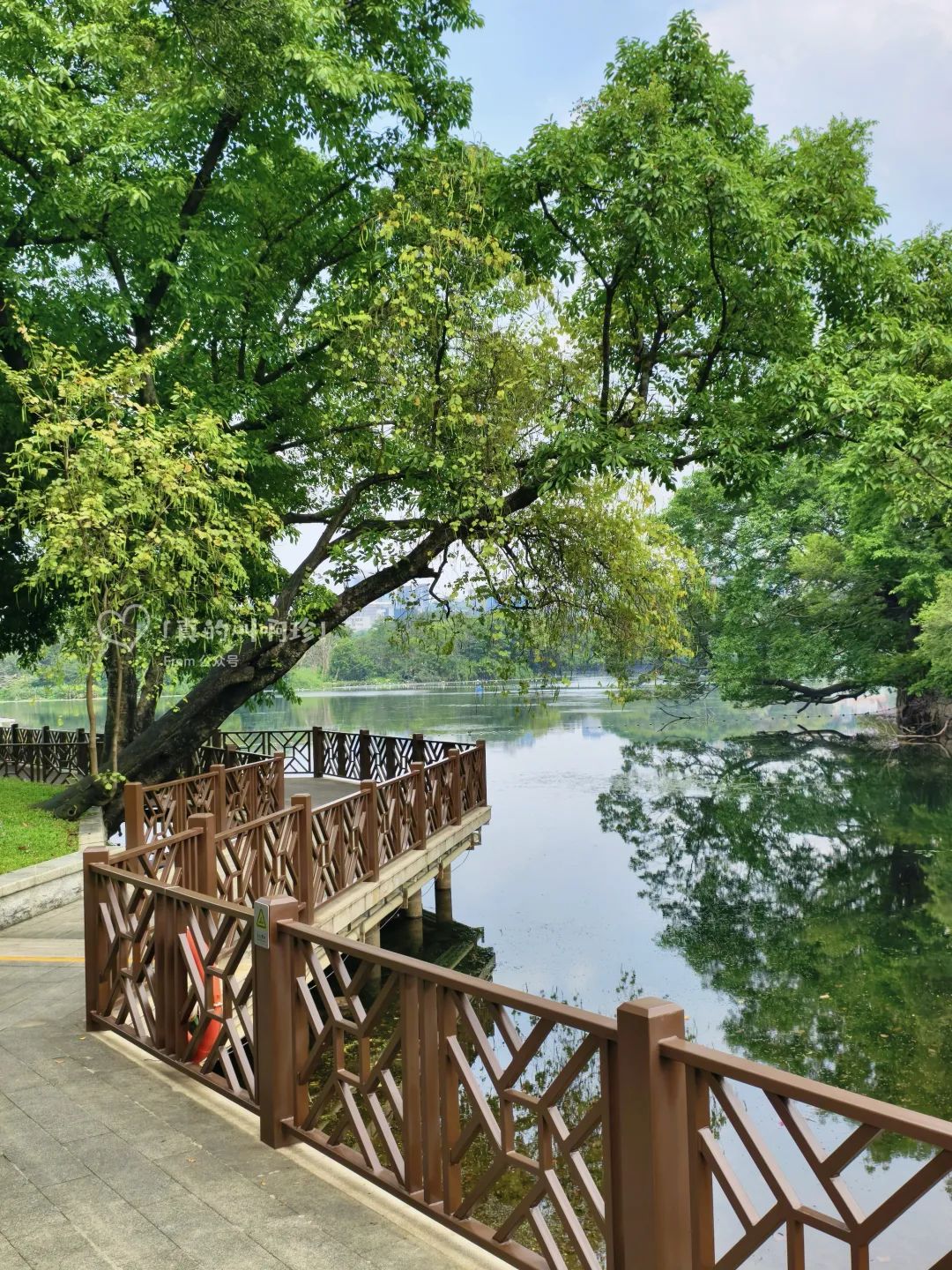 15491d02e66c67a20fb1daa5527786e3.jpeg