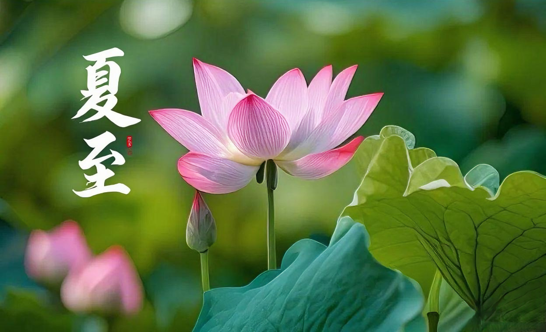 2107c5ec7885484c785f845af280a22a.png