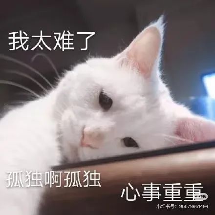 cf1f5dc00a848fb72346bd9d191504d5.jpeg